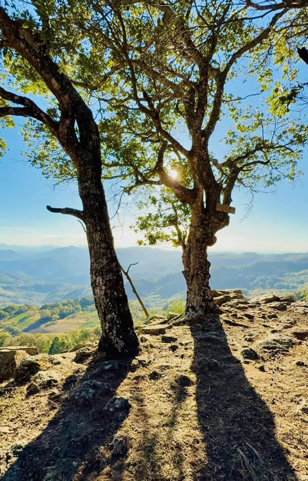 RANCHO DON LUÍS