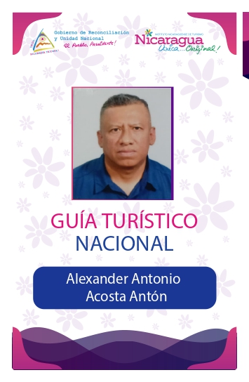 ALEXANDER ANTONIO ACOSTA ANTON