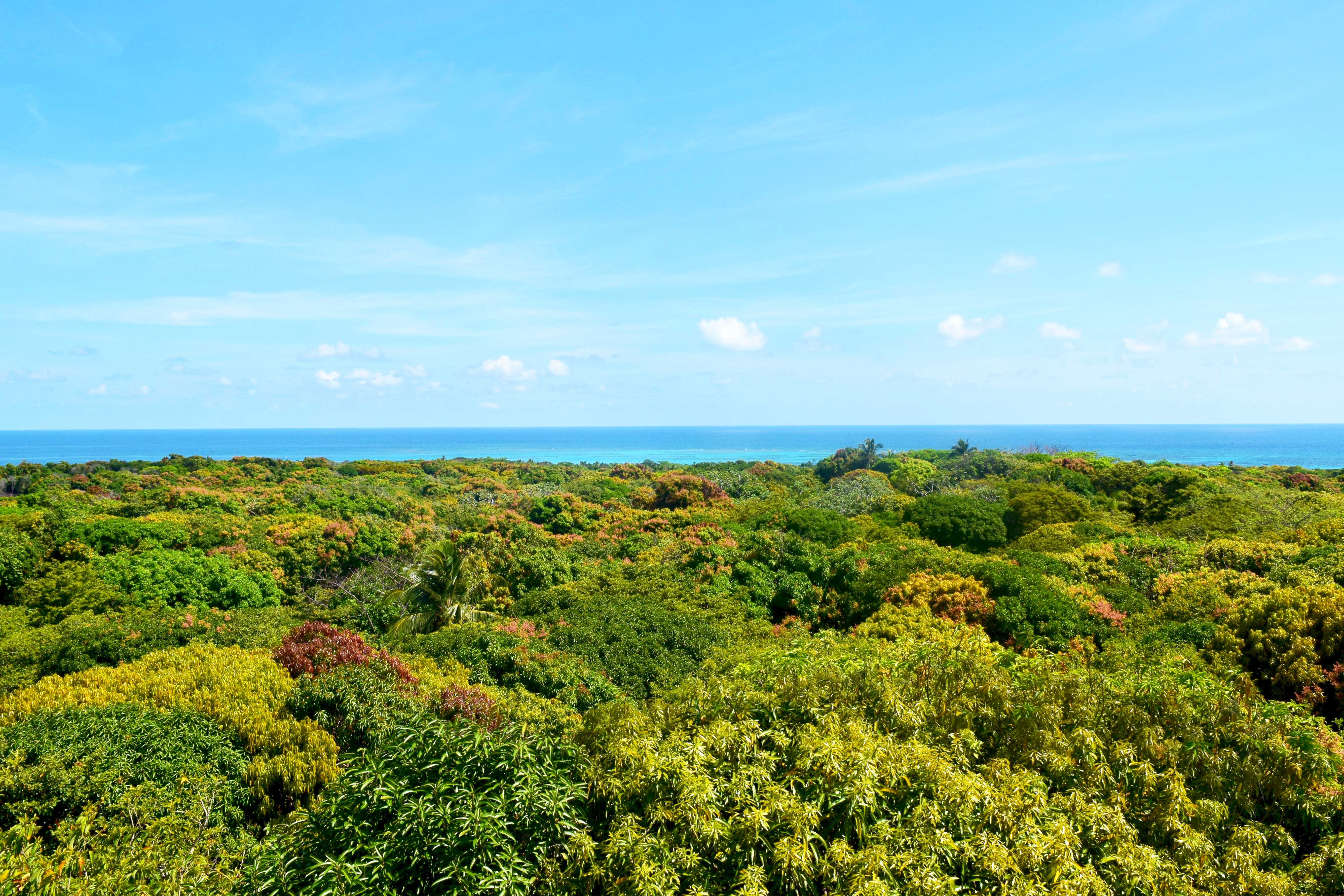 The Light House - Little Corn Island