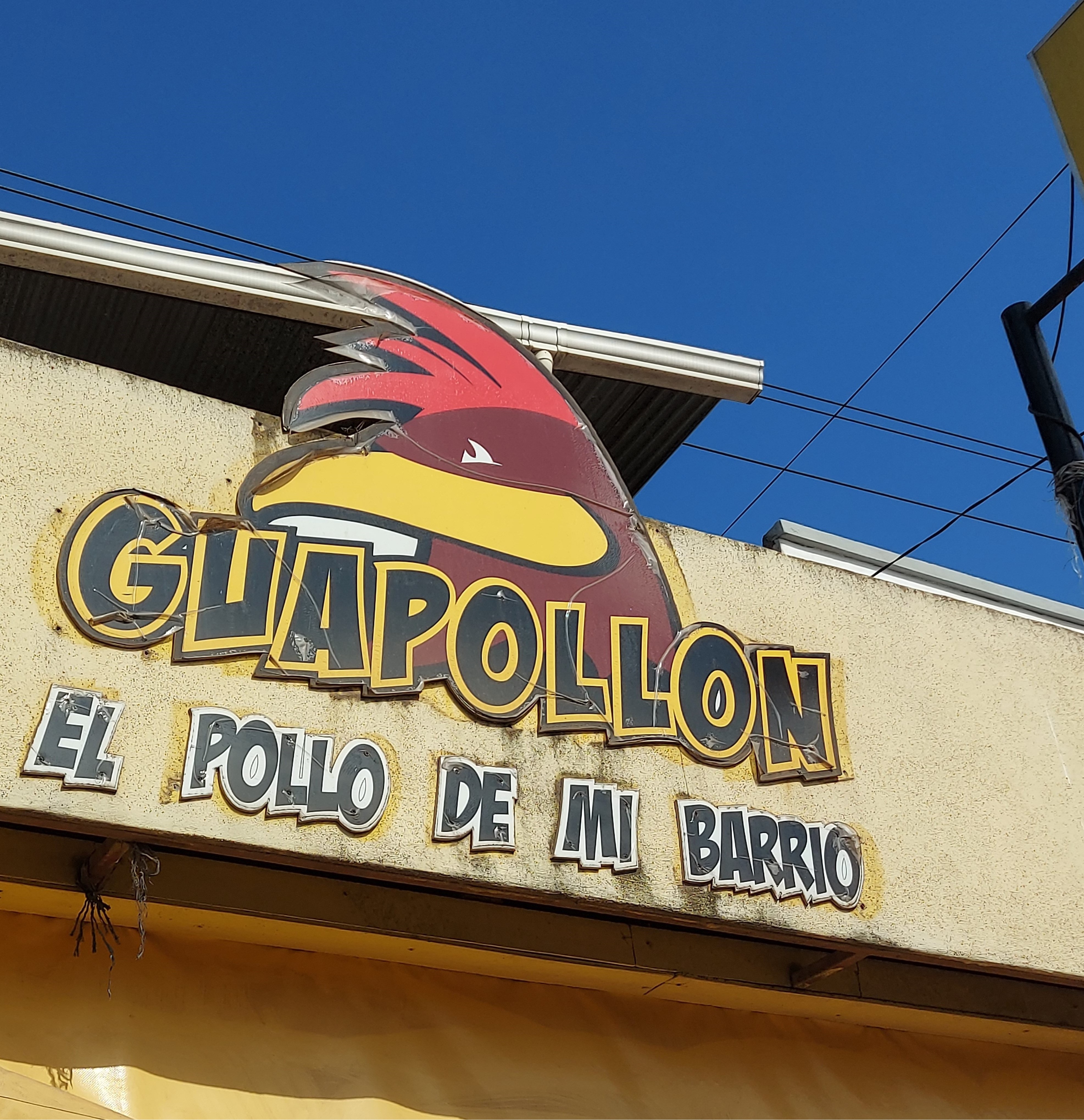 GUAPOLLON LA TONGA