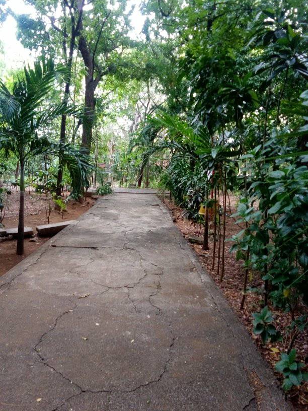 El Arboretum Nacional
