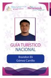 BRANDON ELI GOMEZ CARRILLO