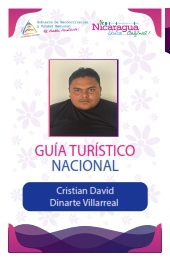 CRISTIAN DAVID DINARTE VILLAREAL