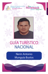 NERIN ANTONIO MUNGUIA BUSTOS
