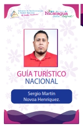 SERGIO MARTIN NOVOA HENRIQUEZ