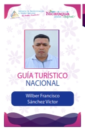 WILBER FRANCISCO SANCHEZ VICTOR