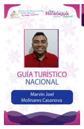 MARVIN JOEL MOLINARES CASANOVA