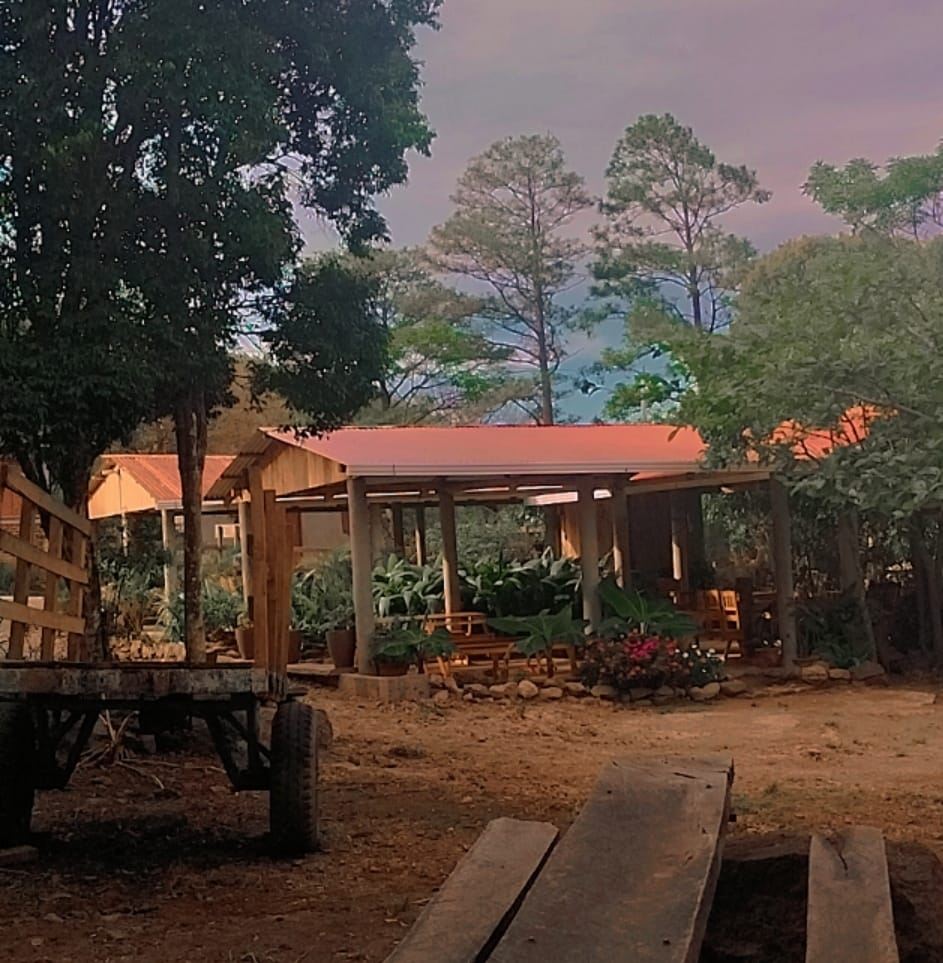 LA CASA DEL YOGURT