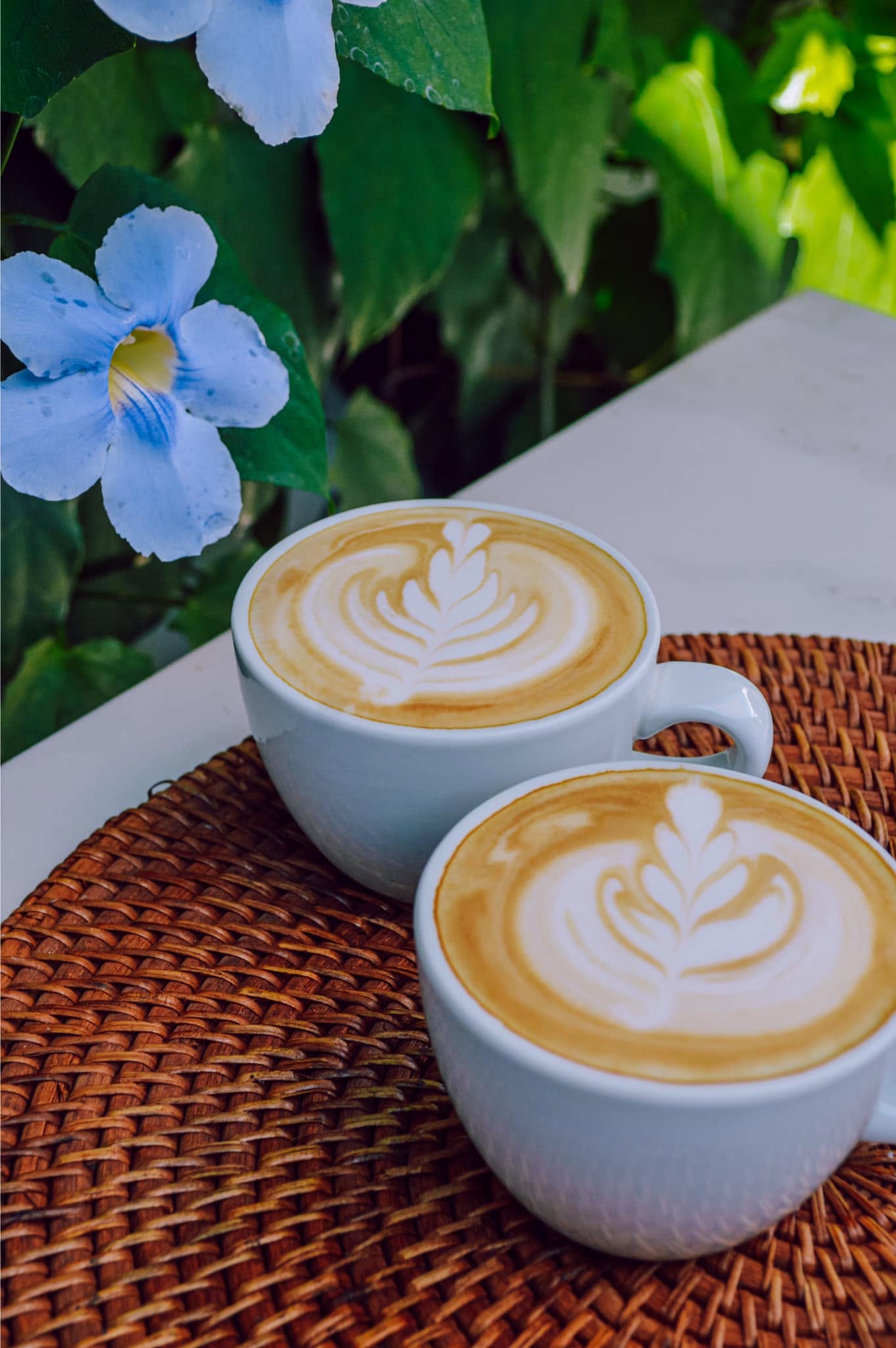 MAÑANA MAÑANA CAFE