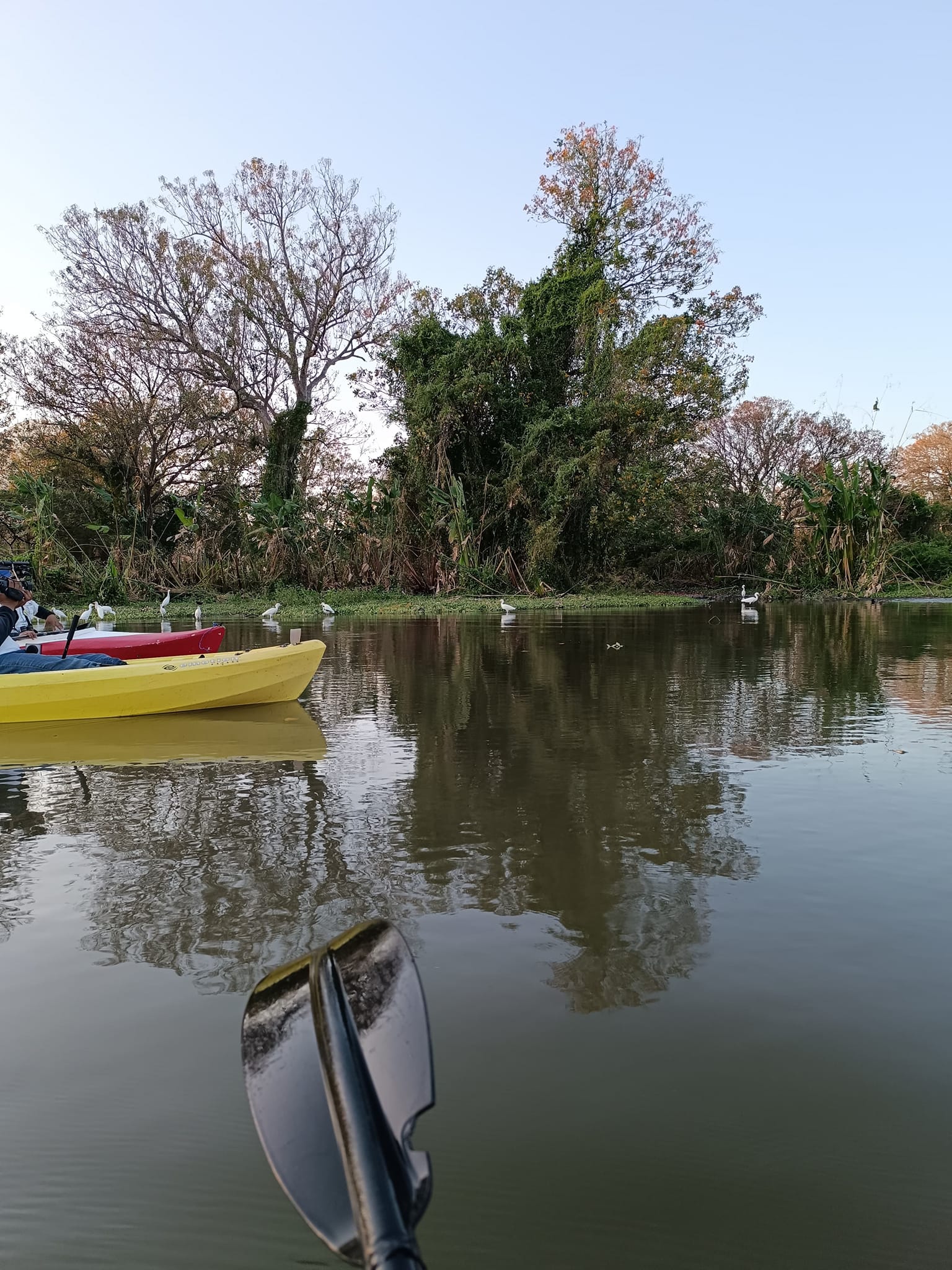 Tour de avistamiento de aves hacia el rio Istiam.