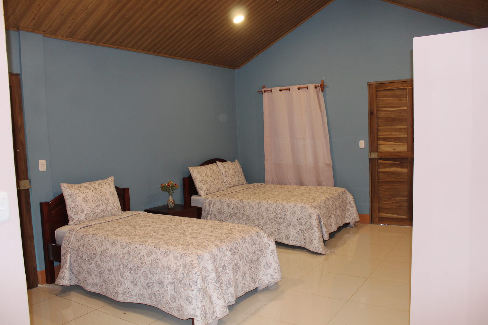 OJO DE AGUA CEDRELAS