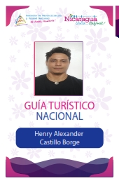 HENRY ALEXANDER CASTILLO BORGE