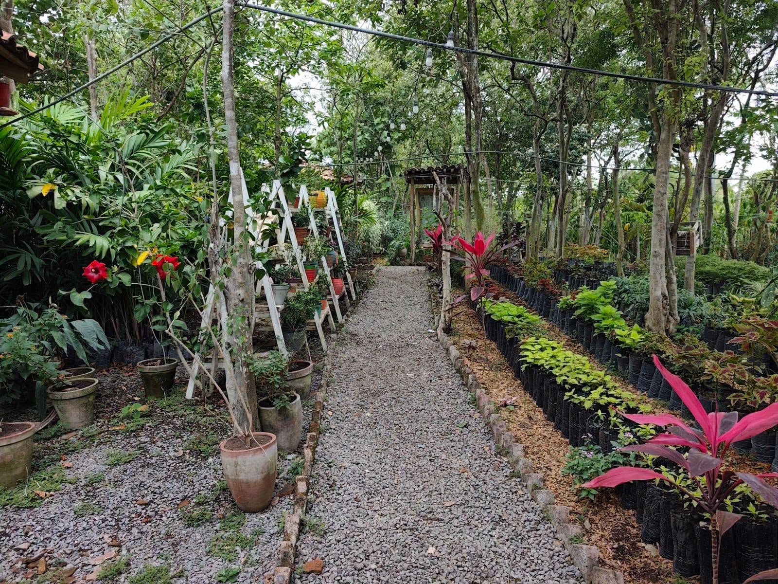FINCA AGROECOLOGICA LAS DOS MARIAS