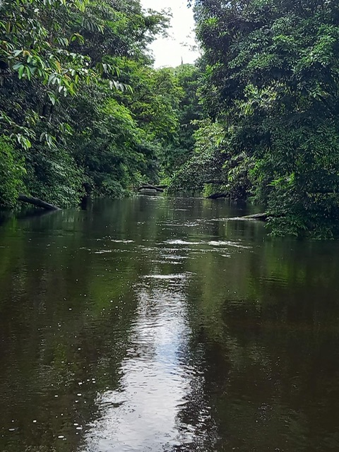 Reserva Biológica Indio Maíz