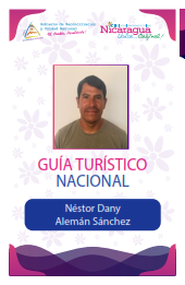 NESTOR DANY ALEMAN SANCHEZ
