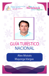 ALEX MOISES MAYORGA VARGAS