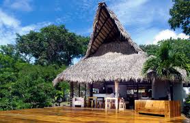 BUENA VISTA SURF CLUB