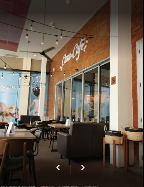 CASA DEL CAFE GALERIA SANTO DOMINGO