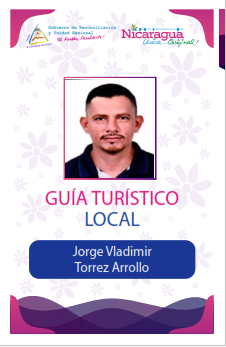 JORGE VLADIMIR TORREZ ARROLLO