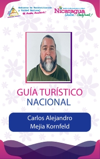 CARLOS ALEJANDRO MEJIA KORNFELD