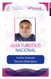 CARLOS ANTONIO TENORIO BALTODANO