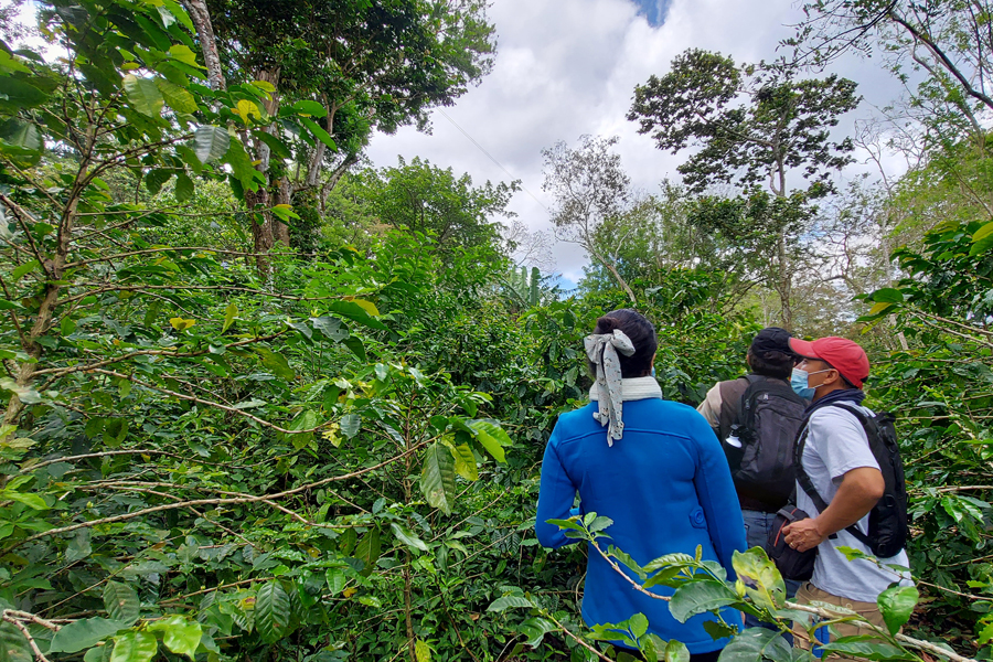 Cooperativa Ricardo Morales