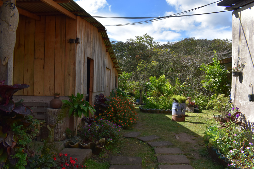 NATURALEZA Y CAFÉ