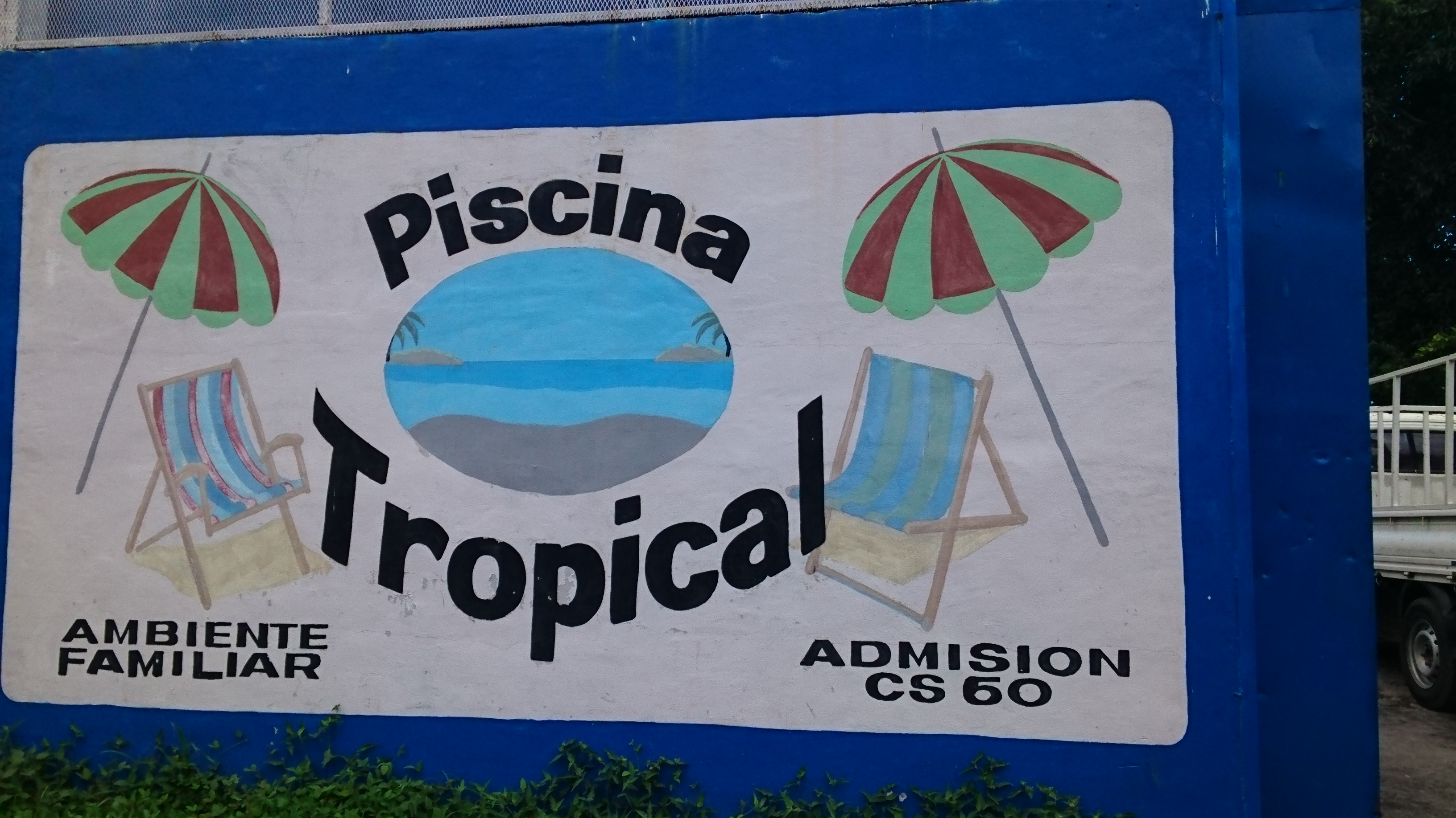 PISCINA TROPICAL