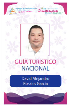 DAVID ALEJANDRO ROSALES GARCIA