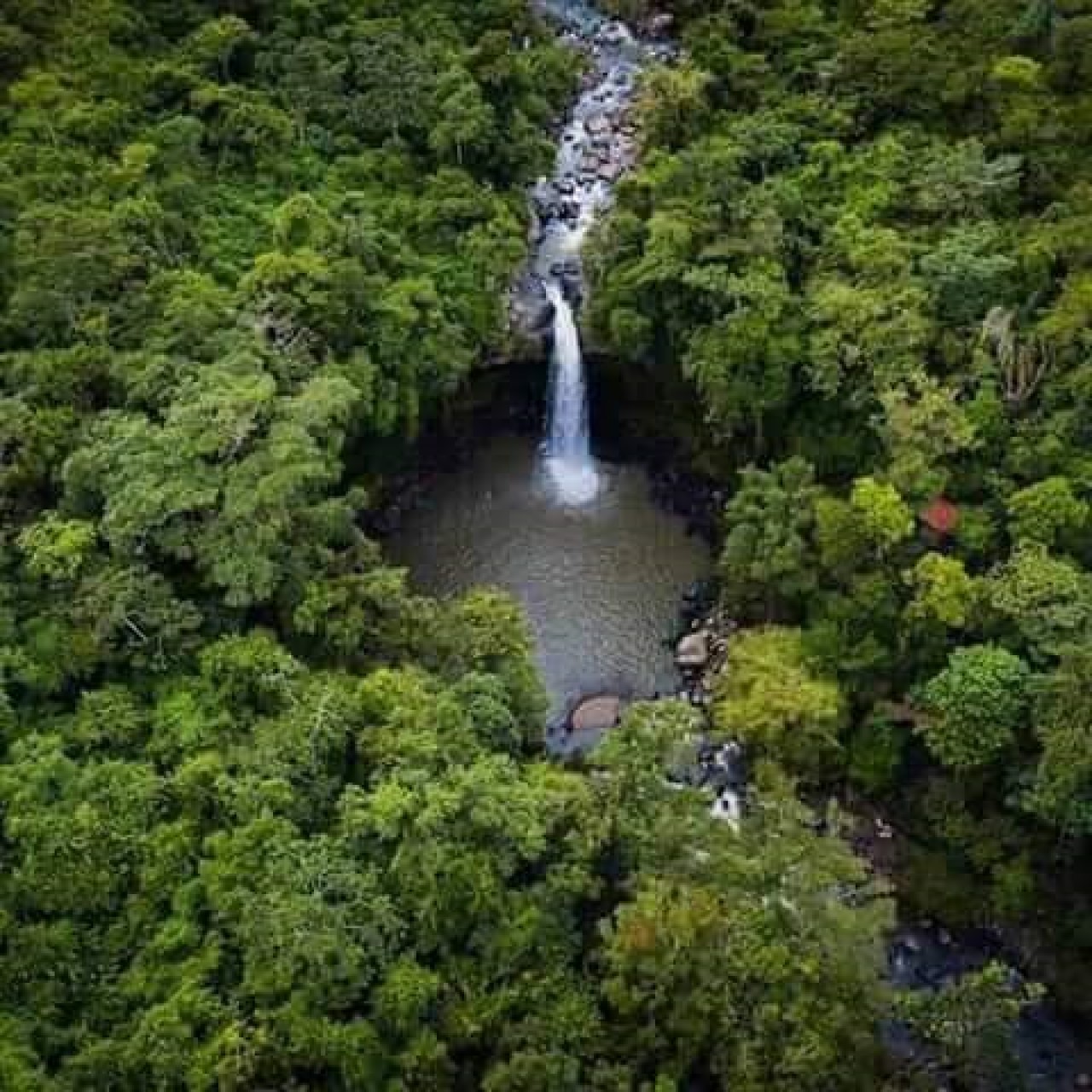 ECO - LODGE CASCADA BLANCA