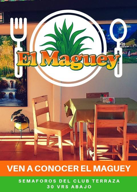 EL MAGUEY