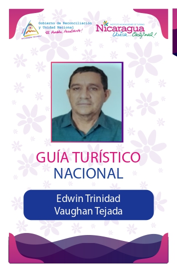 EDWIN TRINIDAD VAUGHAN TEJADA