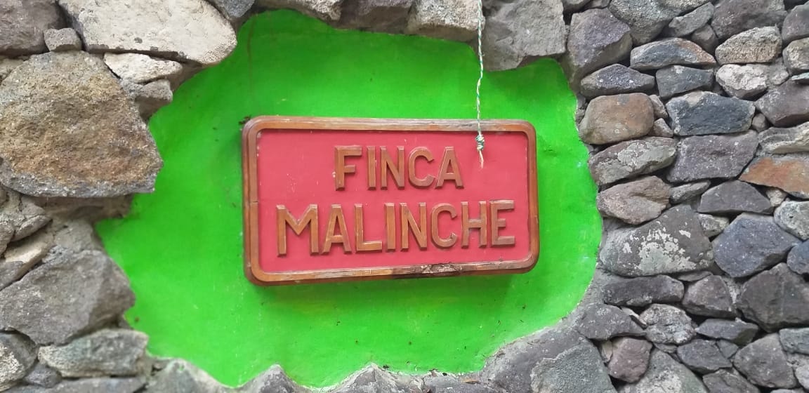 FINCA MALINCHE