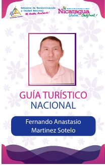 FERNANDO ANASTACIO MARTINEZ SOTELO