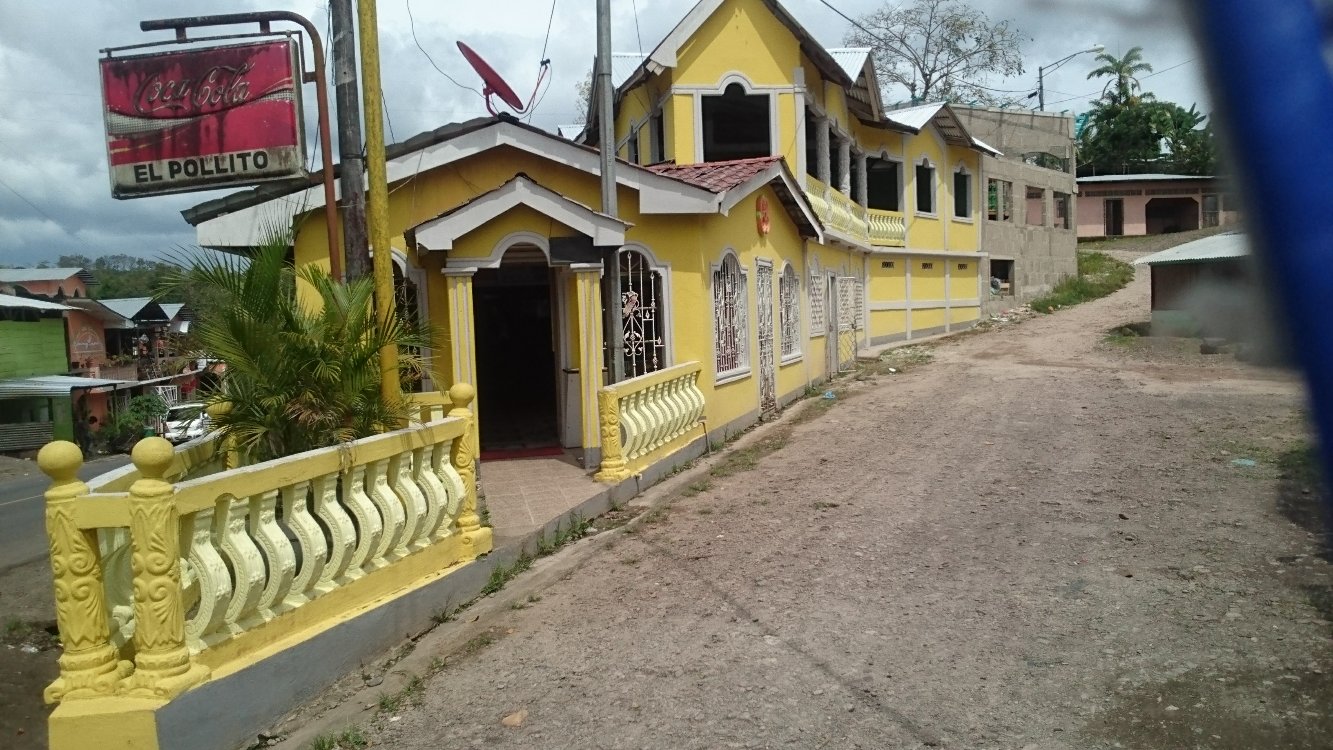 EL POLLITO