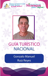 GONZALO MANUEL RUIZ REYES
