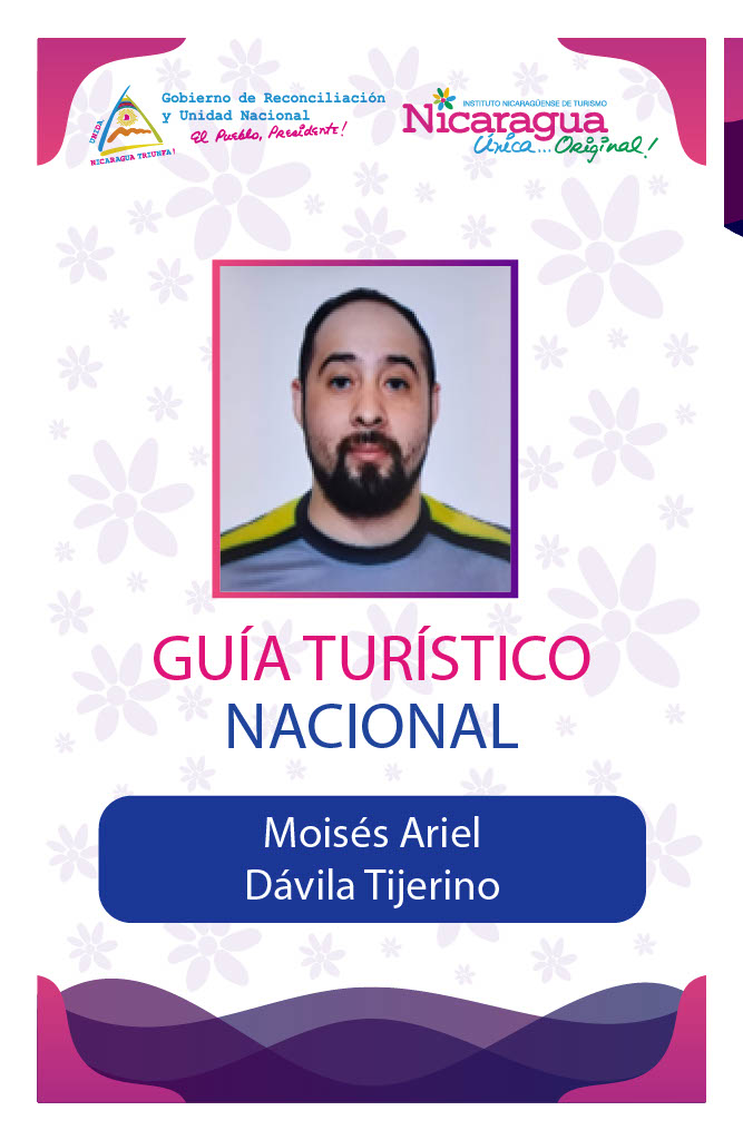 MOISES ARIEL DAVILA TIJERINO