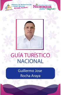 GUILLERMO JOSE ROCHA ARAYA
