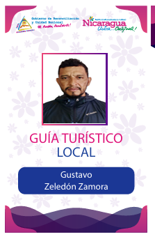GUSTAVO ZELEDON ZAMORA