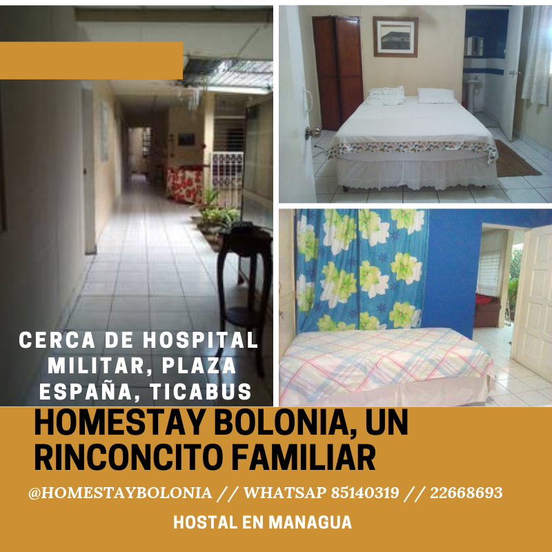 HOMESTAY BOLONIA