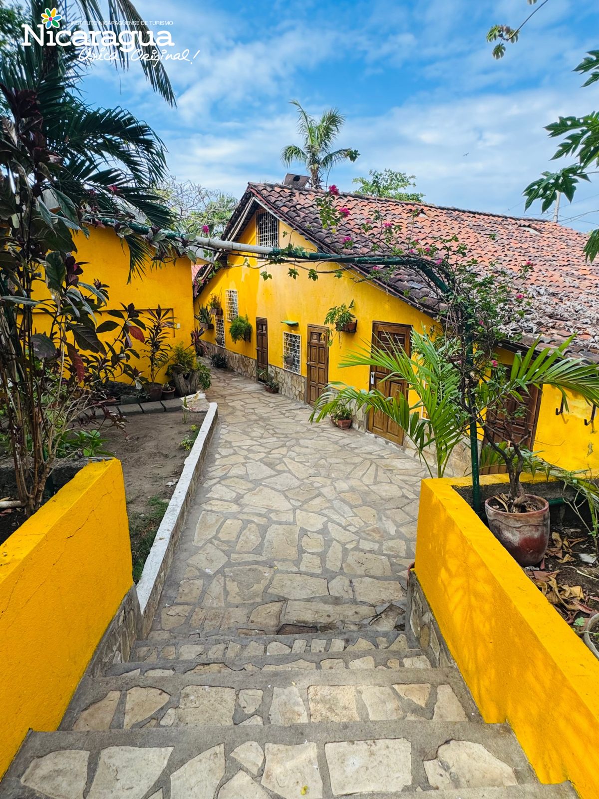 BARCA DE ORO