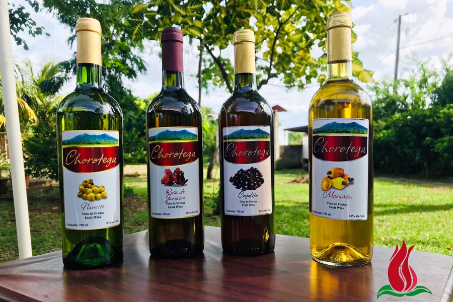 Cooperativa Hibiscus