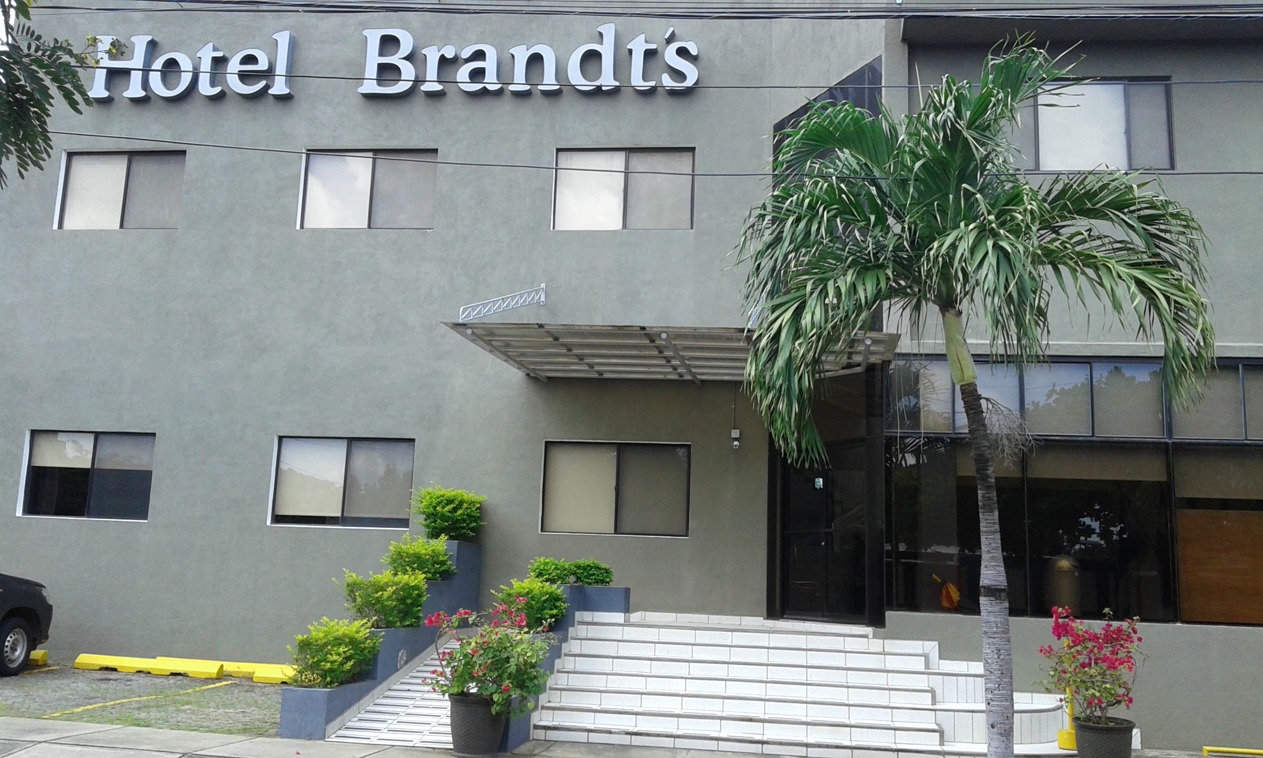 BRANDT¨S EJECUTIVO COLONIAL LOS ROBLES