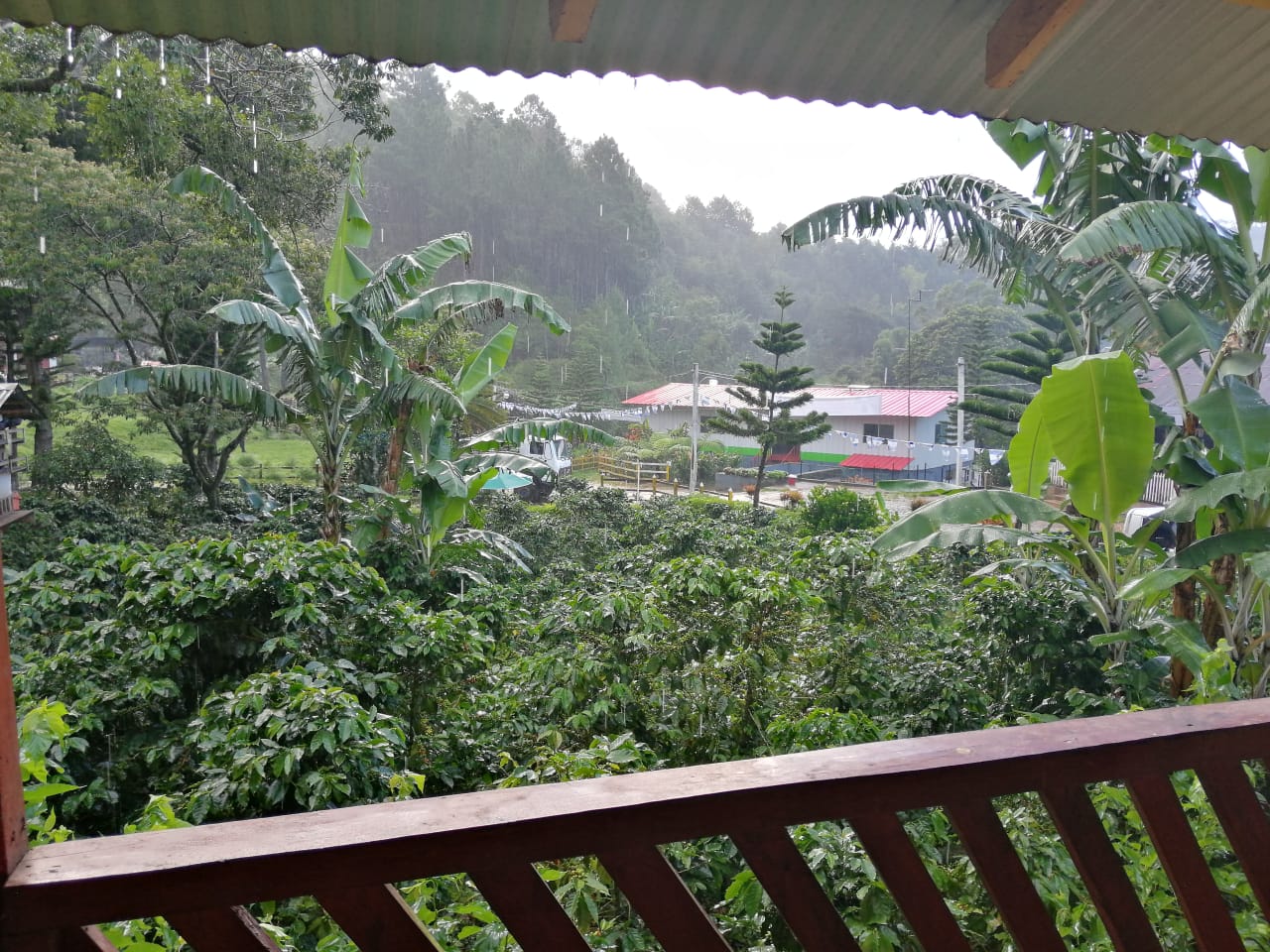 Reserva Natural Cerro Datanlí-El Diablo