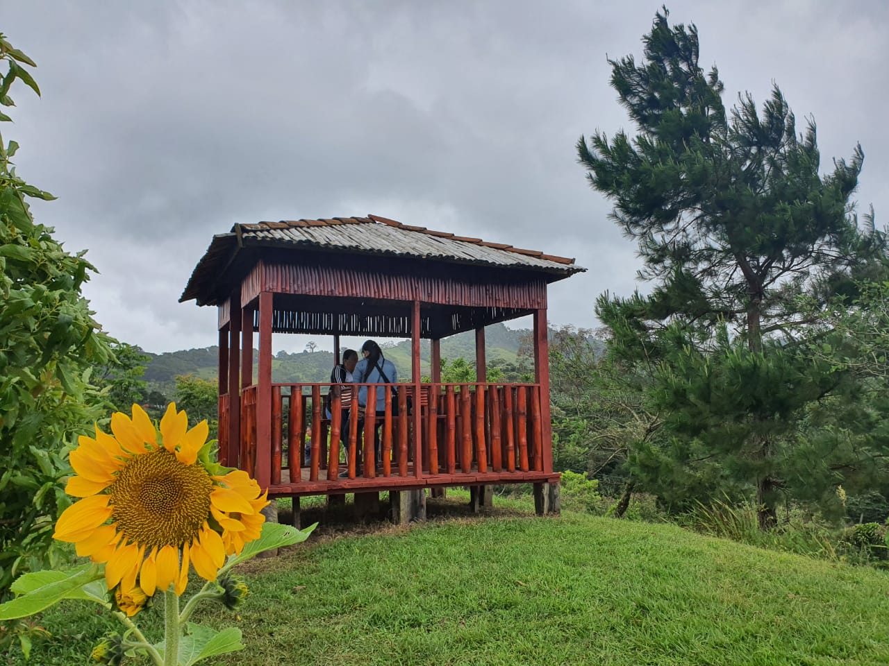 Eco Albergue La Fundadora “Entre Brisas y Encantos