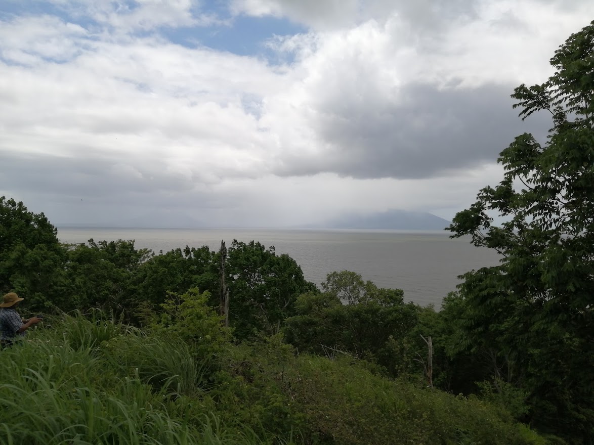 Playa Punta de Piedra