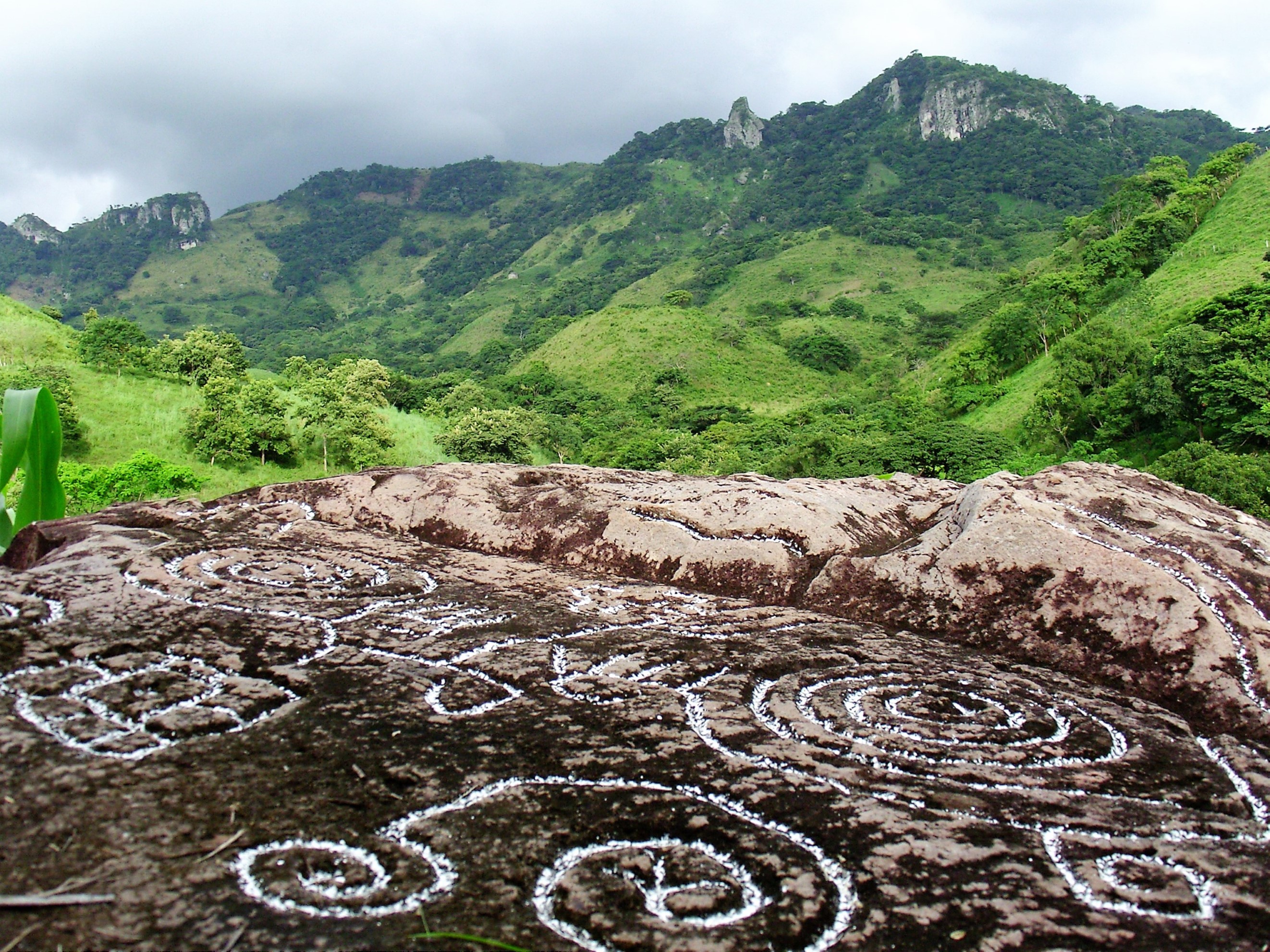 Reserva  Natural Amerrique