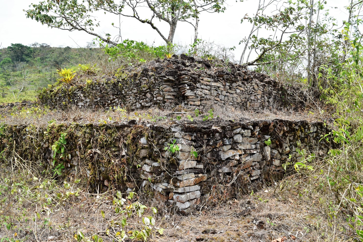 Pirámides de Garrobo Grande