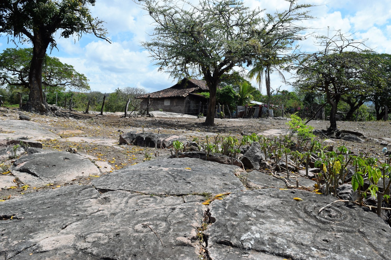 Santuario Arqueológico Aguas Buenas