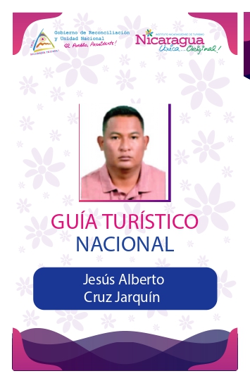 JESUS ALBERTO CRUZ JARQUIN